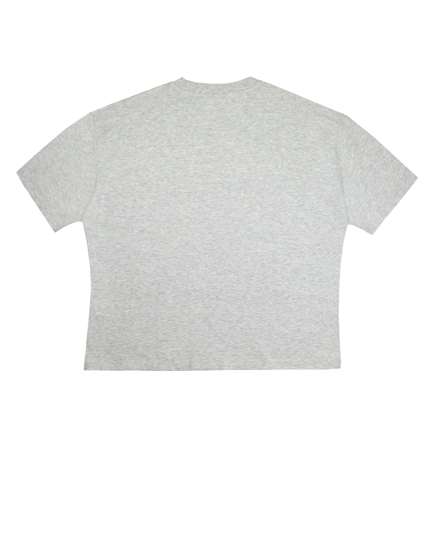 DIVINE LIGHT TEE - GREY
